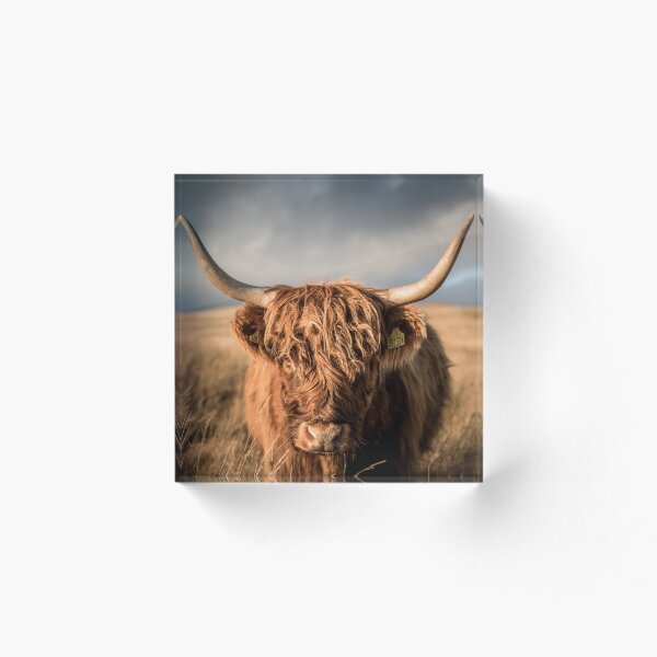 Item preview, Highland Cow  designed and sold by ademcfade.