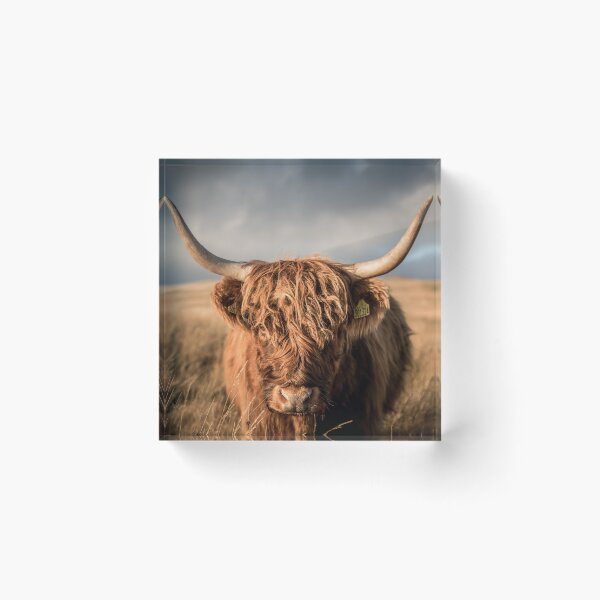 Item preview, Highland Cow  designed and sold by ademcfade.