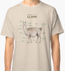 Anatomy of a Llama Classic T-Shirt
