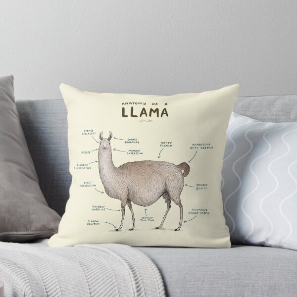 Item preview, Anatomy of a Llama designed and sold by SophieCorrigan.