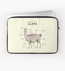 Anatomie eines Llama Laptoptasche