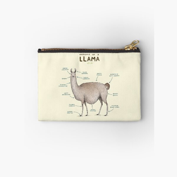 Item preview, Anatomy of a Llama designed and sold by SophieCorrigan.