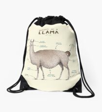 Anatomie eines Llama Turnbeutel