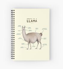 Cuaderno de espiral Anatomía de una llama