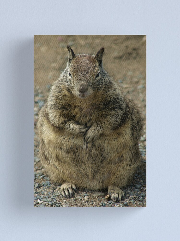 Alternate view of Big Fat Mama Canvas Print