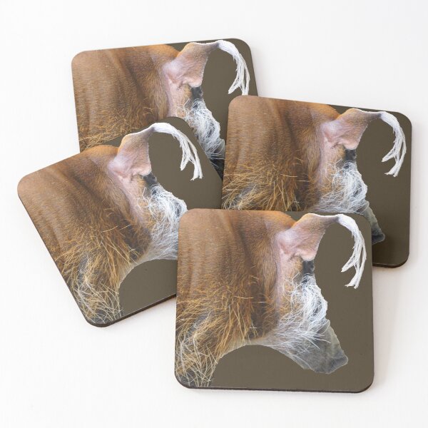 Item preview, Red river hog side profile (brown background) designed and sold by PowerfulPhotos.