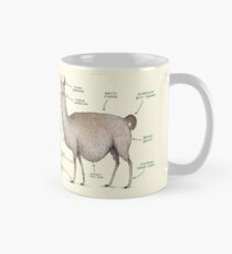 Anatomy of a Llama Mug