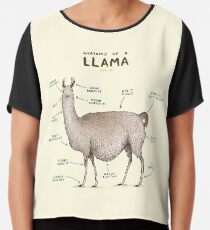Anatomie eines Llama Chiffontop