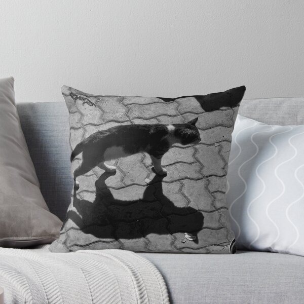 Item preview, Maroc - Chat d'ombre designed and sold by Jean-Luc Rollier.