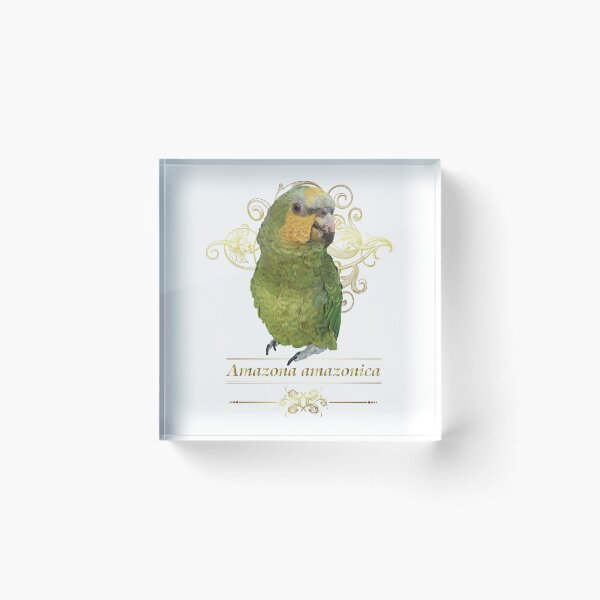 Item preview, orange-winged amazon designed and sold by obscurite.