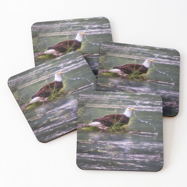 Item preview, Eagle at the River - Haines, Alaska designed and sold by Kathy Weaver.