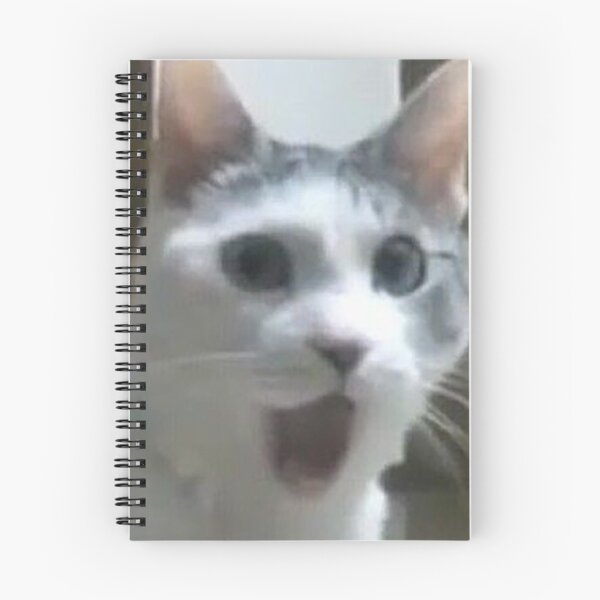 Item preview, Meme de cara graciosa de gato designed and sold by PedestrianWalk.
