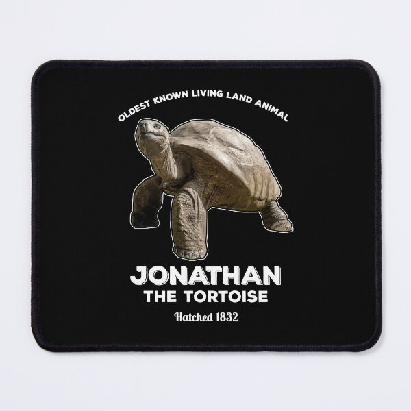 Item preview, Jonathan the Tortoise designed and sold by twHistory.