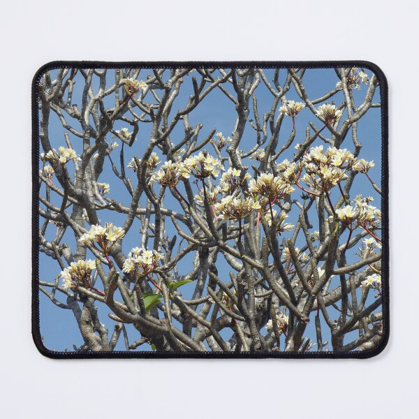 Item preview, Flowering Blooming Tree Branches designed and sold by worldways.