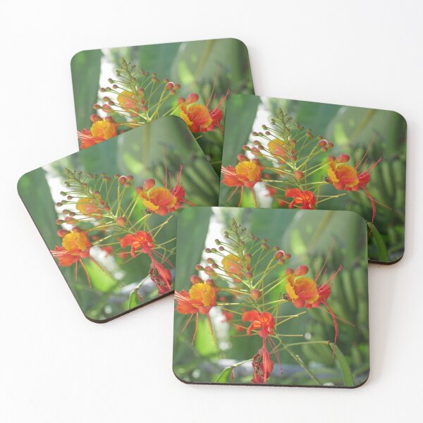 Item preview, Sugar peas blossoms and bananas designed and sold by Tara  Baxendale.