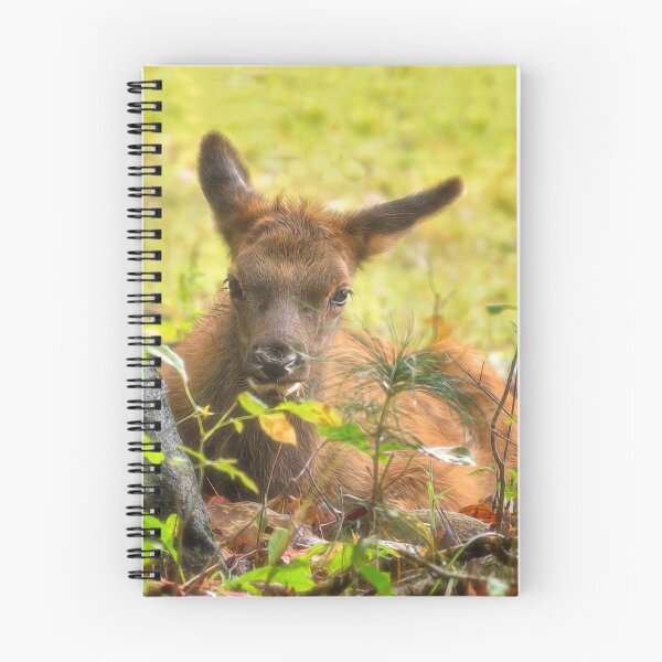 Item preview, Young Elk designed and sold by Kathy Weaver.