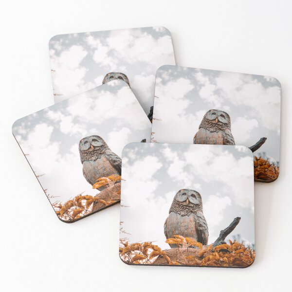 Item preview, Owl sitting in nature designed and sold by dpxpress.