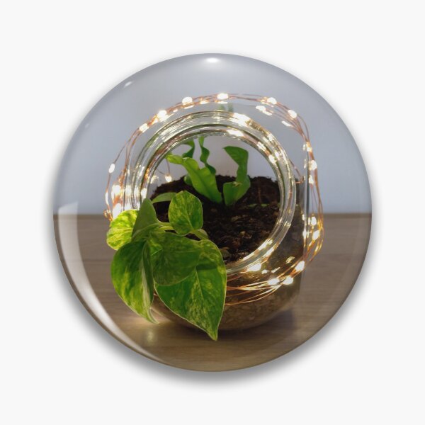 Aperçu de l'œuvre Terrarium créée et vendue par Beccasax.