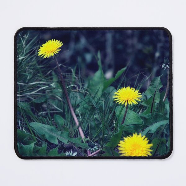 Item preview, dandelions designed and sold by Francespoppy.