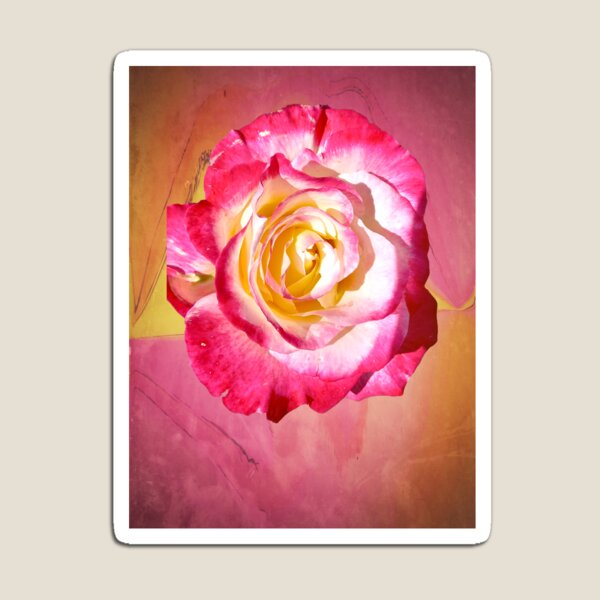 Item preview, Double delight rose modern art designed and sold by Andrew Ballard.