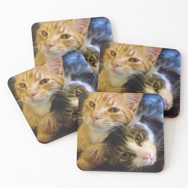 Item preview, kittens brotherly love designed and sold by Its-a-wild-life.