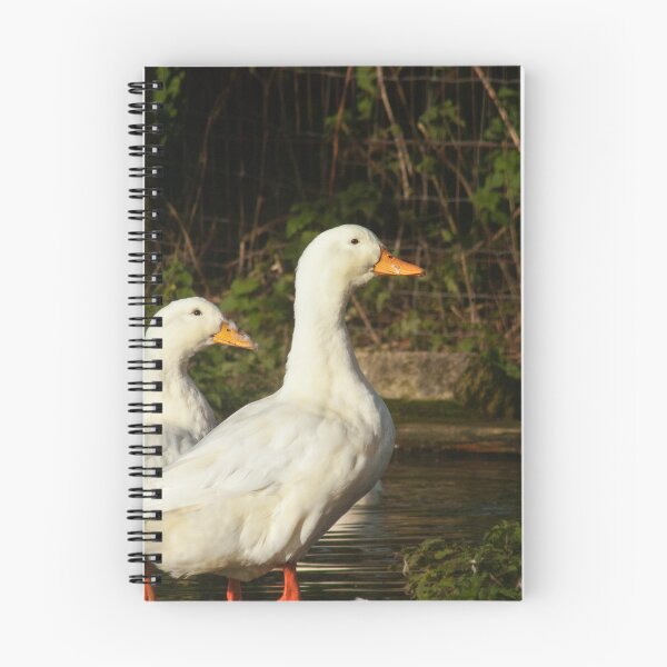 Item preview, white ducks designed and sold by Francespoppy.