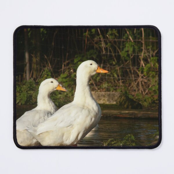 Item preview, white ducks designed and sold by Francespoppy.