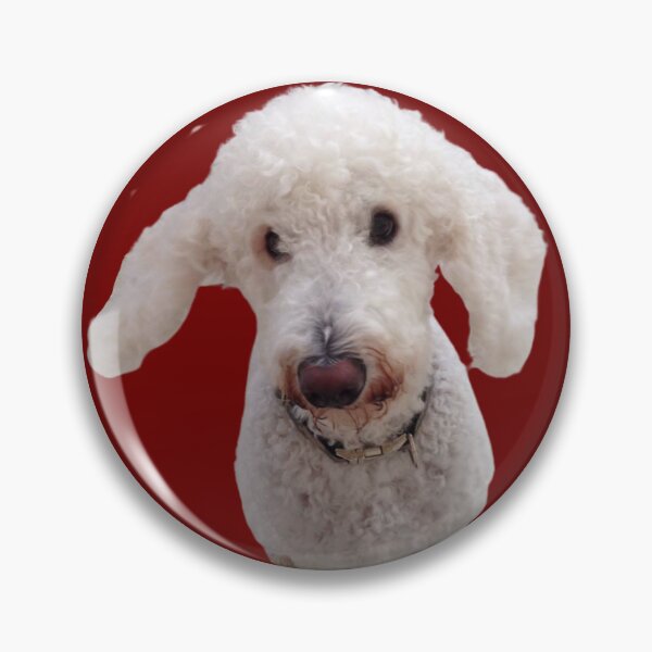 Item preview, White poodle designed and sold by katiebca2.
