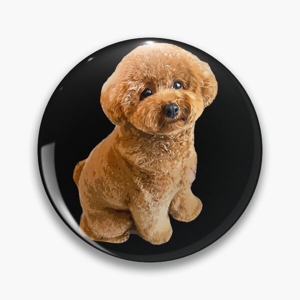 Item preview, Toy Poodle Mini Dog Teddy designed and sold by ElegantCat.