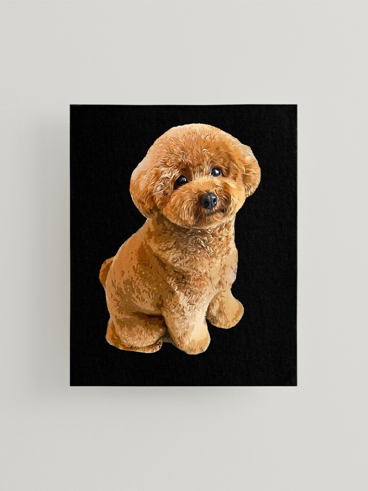 Toy Poodle Gorgeous Mini Dog Teddy | Art Board Print