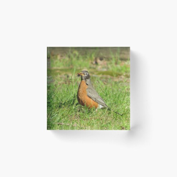 Item preview, Beak Full  designed and sold by Tonia Delozier's Photography .