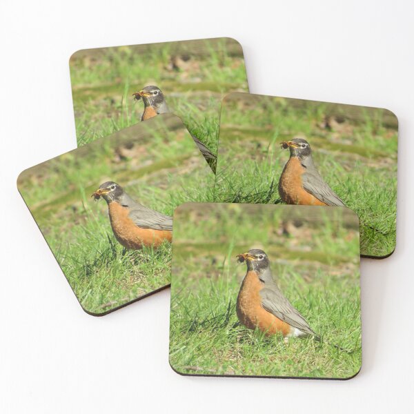 Item preview, Beak Full  designed and sold by Tonia Delozier's Photography .
