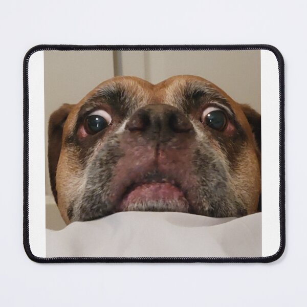 Item preview, Bug Eyed Boxer designed and sold by ClintonomoBay.