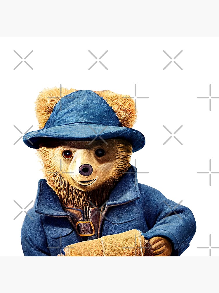 Paddington 2025 duffle coat