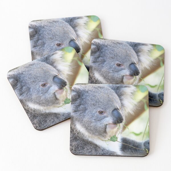 Item preview, Koala designed and sold by johkar-photos.