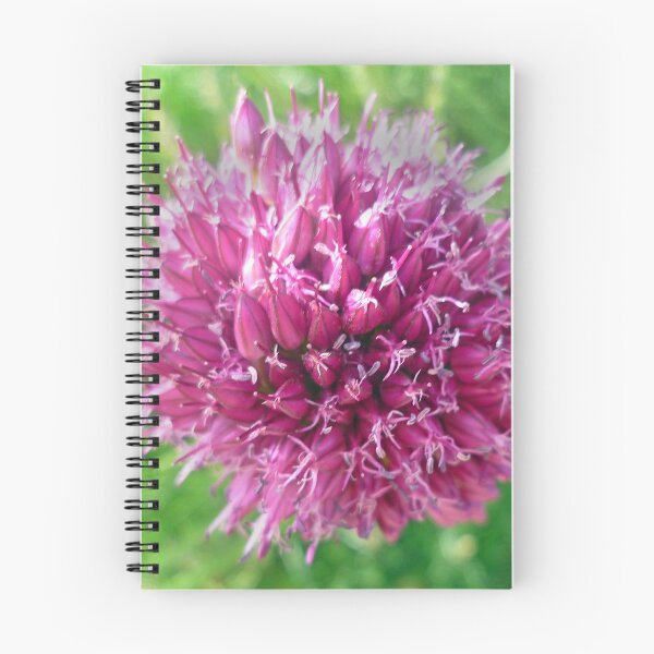 Item preview, Pink flower designed and sold by Hannah Lowe.