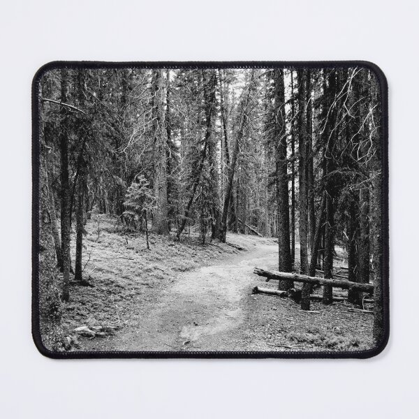 Item preview, Morning Walk-Pine Forest View designed and sold by CarefulCaptures.