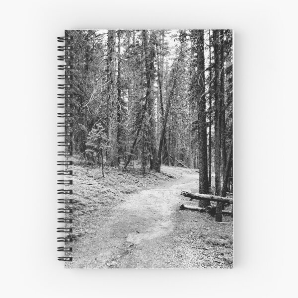 Item preview, Morning Walk-Pine Forest View designed and sold by CarefulCaptures.