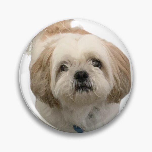 Item preview, Shih-tzu blanco designed and sold by katiebca2.