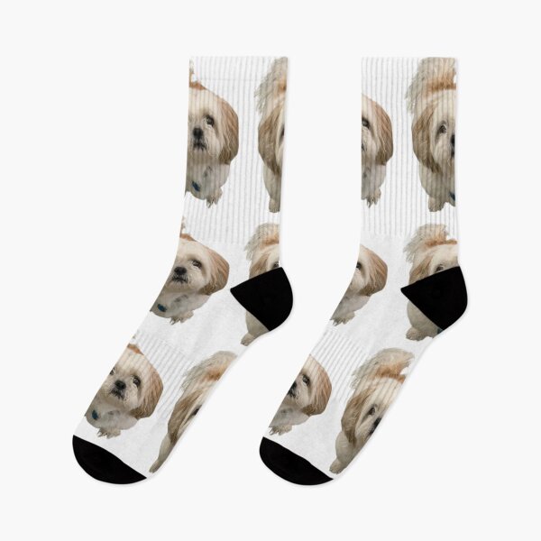 Item preview, White shih tzu designed and sold by katiebca2.