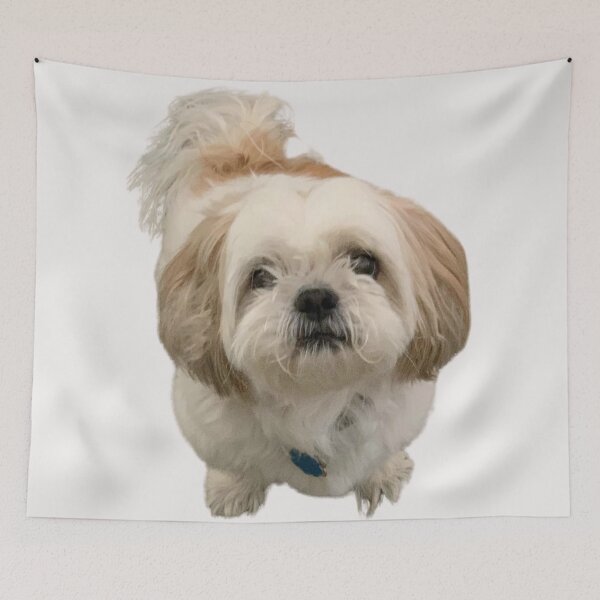 Item preview, White shih tzu designed and sold by katiebca2.