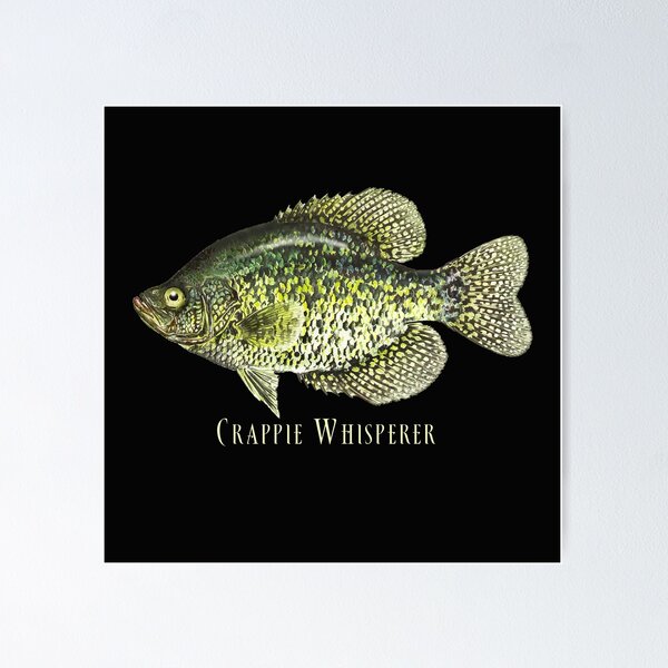 Crappie Posters for Sale - Pixels Merch