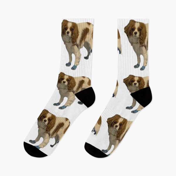 Item preview, White and brown dog designed and sold by katiebca2.