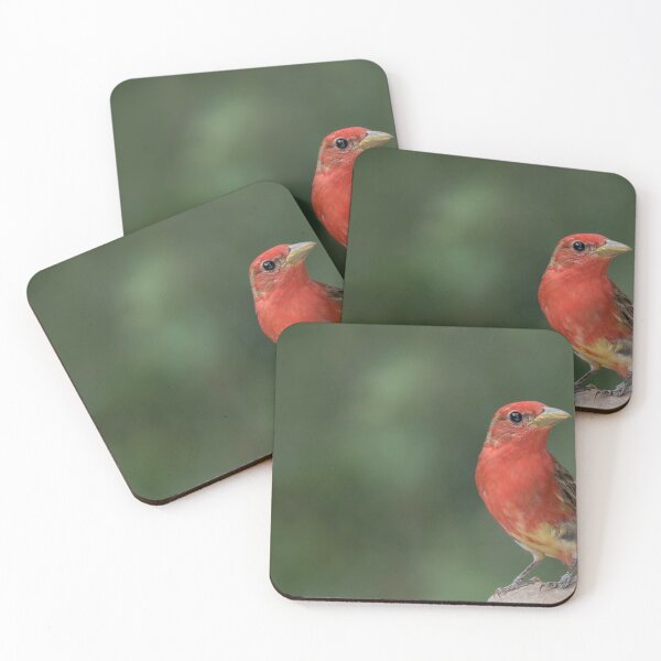 Item preview, Summer tanager designed and sold by Puttaswamy Ravishankar.