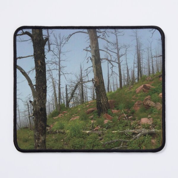 Item preview, Burnt Trees & Green Grassy Mountain designed and sold by CarefulCaptures.