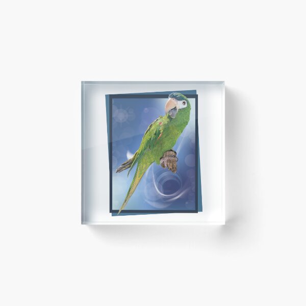 Item preview, The noble macaw designed and sold by obscurite.