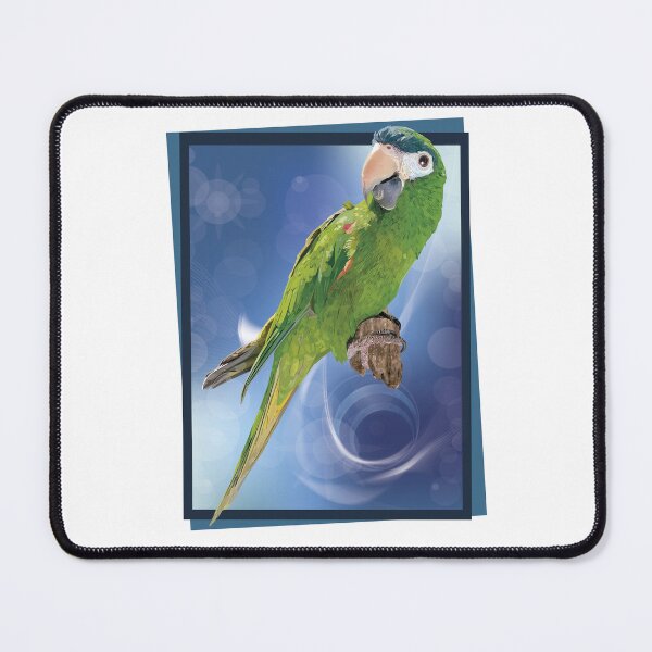Item preview, The noble macaw designed and sold by obscurite.