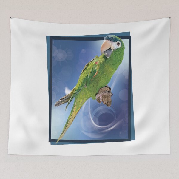 Item preview, The noble macaw designed and sold by obscurite.