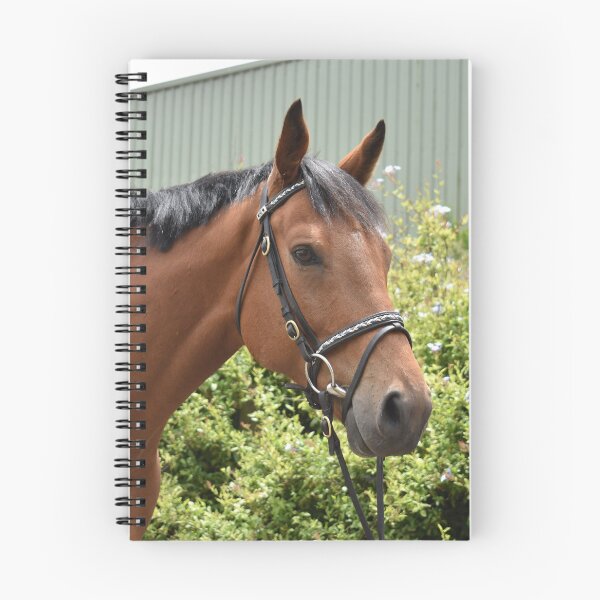 Item preview, Apollo Portrait designed and sold by Oakwood Riding School.