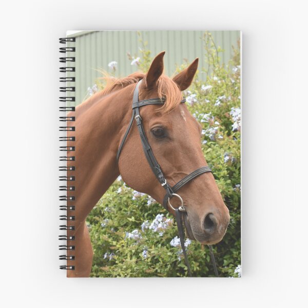 Item preview, Dave Portrait designed and sold by Oakwood Riding School.